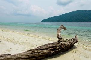 Melden Sie sich an einem wunderschönen tropischen Strand in Thailand an foto