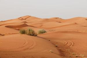 arabische Wüste foto