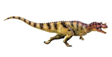 Ceratosaurus-Dinosaurier auf weißem Isolathintergrund-Beschneidungspfad foto