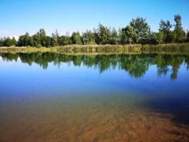 ein von Bäumen umgebener Fluss oder See foto