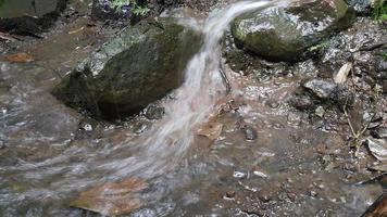 ein kleiner Wasserfall, der entsteht, wenn es im Wald stark regnet. foto