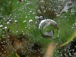 Tautropfen auf Spinnennetz am Morgen, Makrofotografie, extreme Nahaufnahme foto