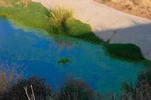 Feuchtgebiete in der Nähe des Flusses Llobregat foto