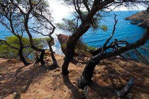 blick auf die katalanische costa brava in sant feliu de guixols foto
