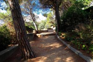 costa brava katalanische küstenstraße, sant feliu de guixols, spanien foto