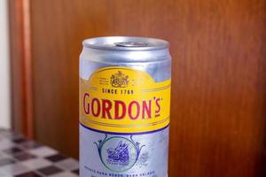 Gin Tonic Gordons foto