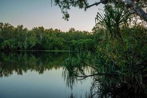 Billabong in der Abenddämmerung foto