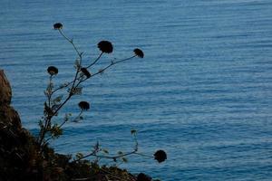 Blick auf die Klippen der katalanischen Costa Brava foto