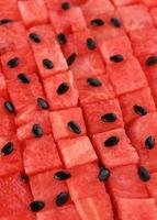gewürfelte rote reife wassermelone in reihen, schwarze samen sind darauf verstreut. saftige frische Fruchtstücke, die in einem nahtlosen vertikalen geometrischen Hintergrundmuster angeordnet sind. Platz für Ihren Text. foto