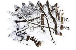 Winterbäume der digitalen Illustration und Schneehintergrund foto