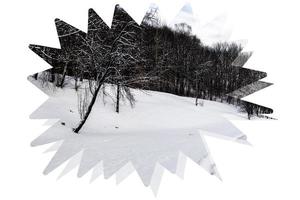 Winterbäume der digitalen Illustration und Schneehintergrund foto