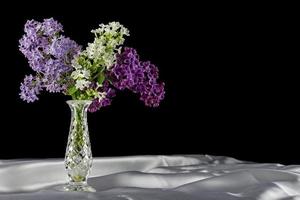 Flieder und Vase foto
