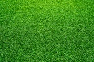 rasen zu hause grünflächen vergrößern sauerstoff erhöhen foto