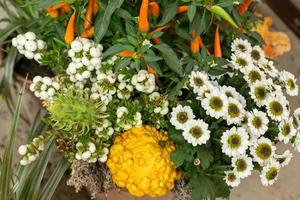 Herbstblumen-Arrangement. schöner Strauß mit Chrysanthemen, Zierpaprika und Gurken foto