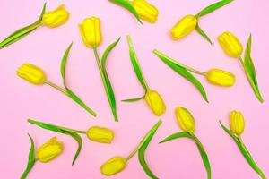 Blumenmuster aus gelben Tulpen auf rosa Hintergrund. flache Lage, Draufsicht. Urlaub Hintergrund foto