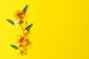 kreative komposition der viola-stiefmütterchenblume mit kopienraum. gelbe Frühlingsblumen auf gelbem Hintergrund. foto