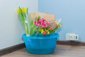 blaues Becken mit vielen Tulpen. Blumenstrauß Aufbewahrung foto