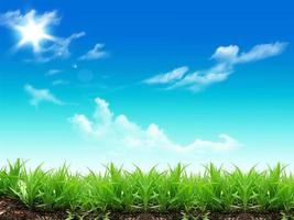 grünes Gras und blauer Himmel mit Wolken foto