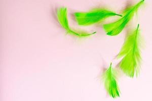 trendiger rahmen mit schönen grünen vogelfedern auf rosa pastellhintergrund. flach liegend mit kopierraum. foto