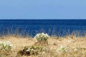 Mittelmeerküste im Norden Israels. foto