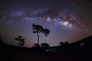 Silhouette von Baum und Milchstraße im Nationalpark Phu Hin Rong Kla, Phitsanulok, Thailand. Foto mit Langzeitbelichtung.