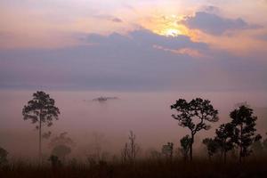 landschaft nebel im morgendlichen sonnenaufgang im thung salang luang nationalpark phetchabun, tung slang luang ist grasland-savanne in thailand foto