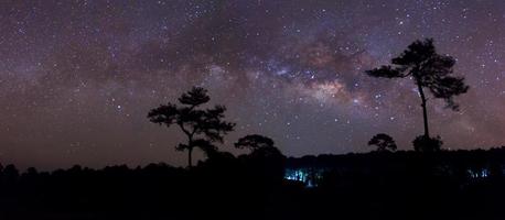 die Panorama-Silhouette von Baum und Milchstraße, Langzeitbelichtung foto