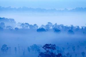 landschaft nebel im morgendlichen sonnenaufgang im thung salang luang nationalpark phetchabun, tung slang luang ist grasland-savanne in thailand foto