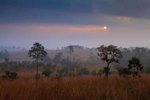 Sonnenaufgang am nebligen Morgen in den Bergen mit Wolken im Thung Salang Luang Nationalpark Phetchabun, Thailand foto