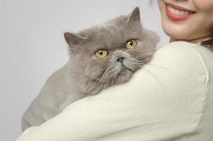 Eine junge Frau hält eine schöne Katze und spielt mit einer Katze im Studio auf weißem Hintergrund foto