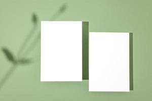 Schablonenpapier mit Pflanzenschatten auf pastellgrünem Hintergrund, tolles Design für jeden Zweck. abstrakter Hintergrund. Banner-Vorlage. Werbung foto