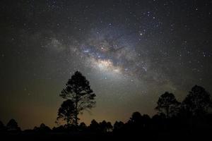 Landschaftssilhouette eines Baumes mit Milchstraßengalaxie und Weltraumstaub im Universum, nächtlicher Sternenhimmel mit Sternen foto