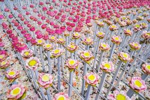 viel fo rosa und weißer lotus derate in blumenereignis, für hintergrund oder eine idee für ereignis und hintergrund. foto