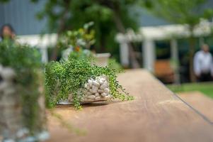 Dekorationsbaum im Topf auf den Holz - Stahltischen im Garten. foto