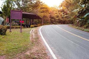 Straße im Wald mit Schutzgitter foto