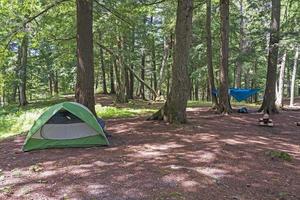 Wildniscamp im Nordwald foto