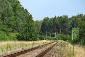 Die Eisenbahn biegt am Sommertag auf trockenem gelbem Gras um die Ecke eines Waldes foto