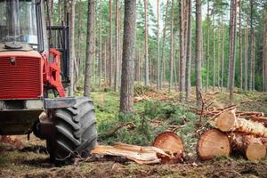 Rote Waldmaschine, die Bäume im grünen Sommerwald löscht, der in der Nähe von geschnittenen Holzstämmen steht, die von wachsenden Baumstämmen umgeben sind foto