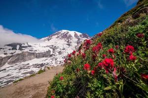 Landschaft des Nationalparks Mount Rainier in den USA foto