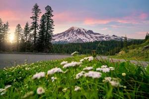 Landschaft des Nationalparks Mount Rainier in den USA foto