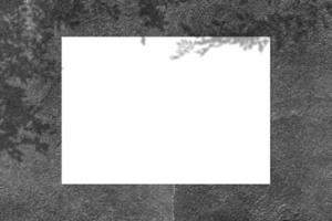 leeres weißes quadratisches plakatmodell mit hellem schatten auf schwarzem betonwandhintergrund. foto