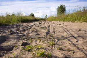 Spur des Hufes des Pferdes auf der Sandstraße im Wald foto