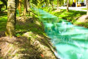 kokospalmen und blaue wasserschönheitsnatur in südthailand foto