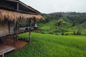 Reisfeldurlaub, Menschen in Hütten und Reisterrassen foto