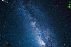 Nachtszene Milchstraße Hintergrund, Bäume gegen Himmel bei Nacht foto