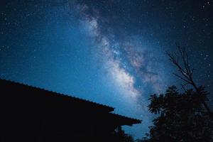 Nachtszene Milchstraße Hintergrund, Bäume gegen Himmel bei Nacht foto