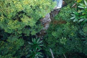 Wasserfall im tropischen Wald, Wasserfall im Dschungel foto