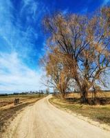 der Weg zum Dorf. foto