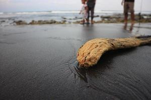 Treibholz auf dem Sand foto