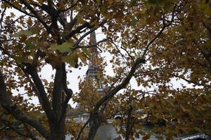 eiffelturm gesehen durch die herbstlichen baumblätter vom gegenüberliegenden ufer der seine foto